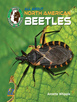 cover image of All About North American Beetles